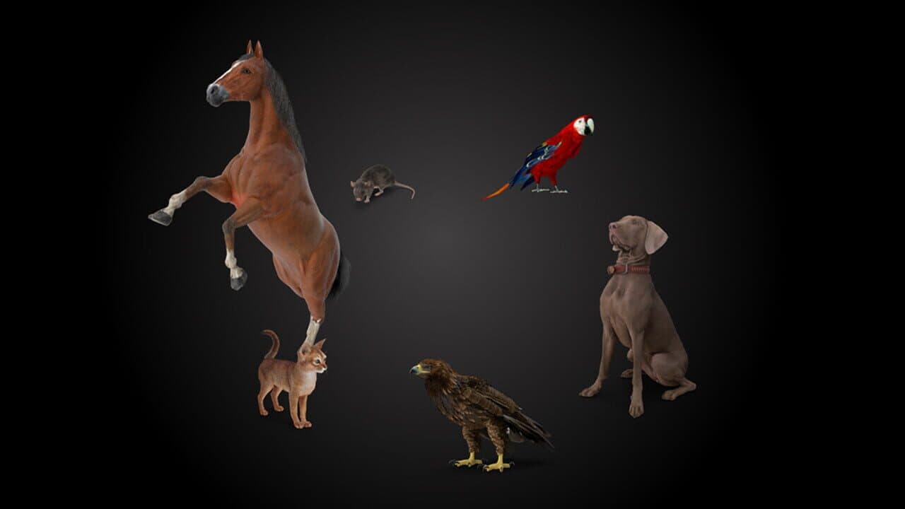 Animal Trainer