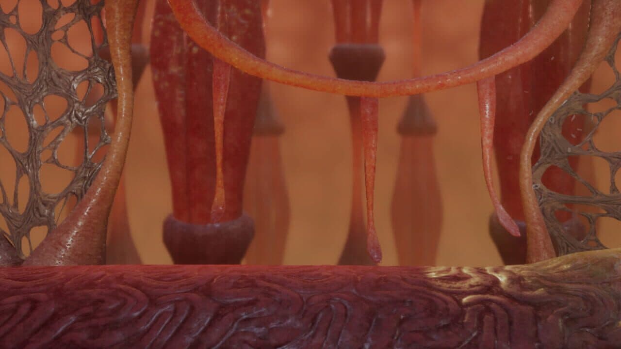 Antibody