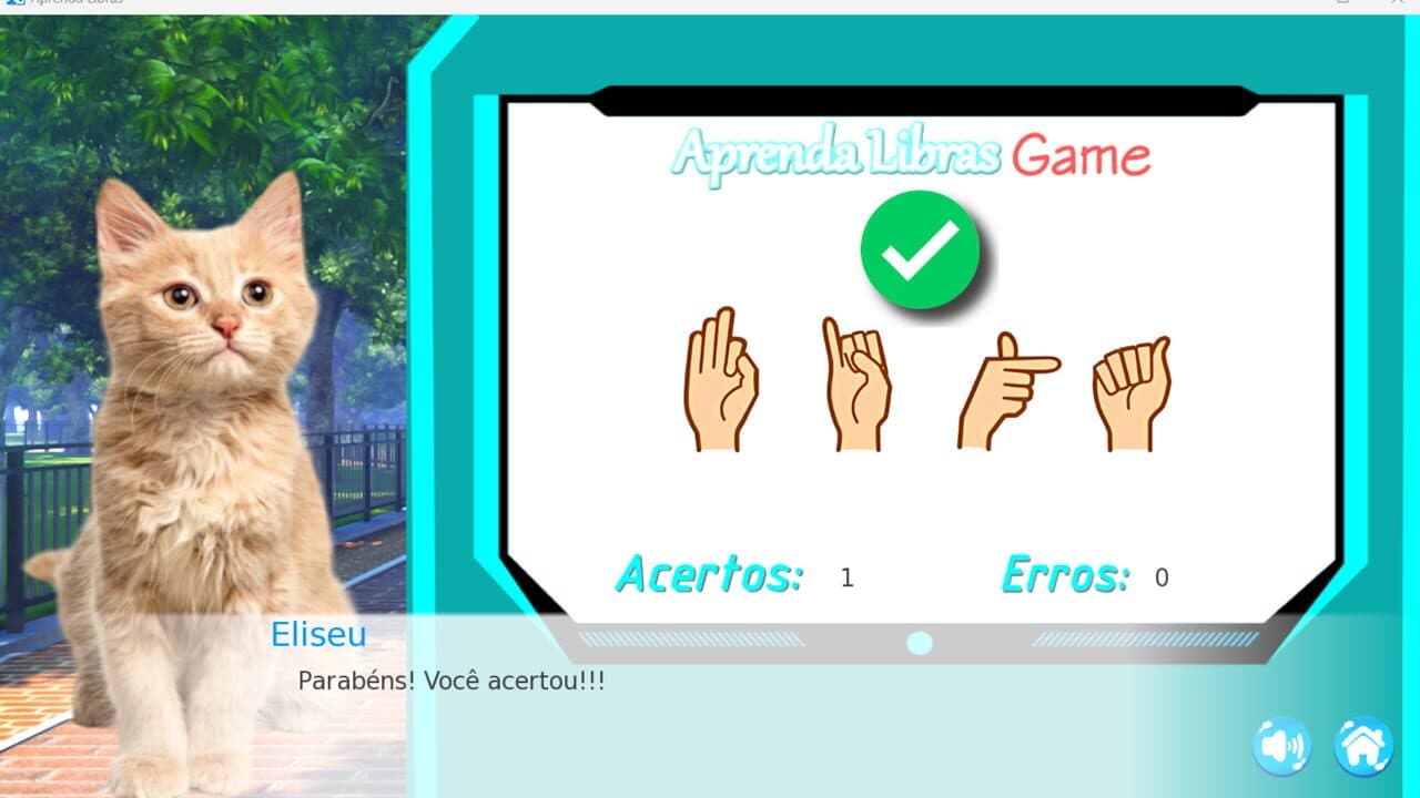 Aprenda Libras