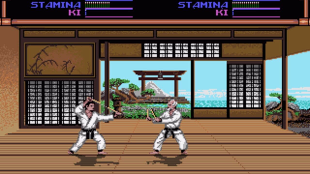 Budokan: The Martial Spirit