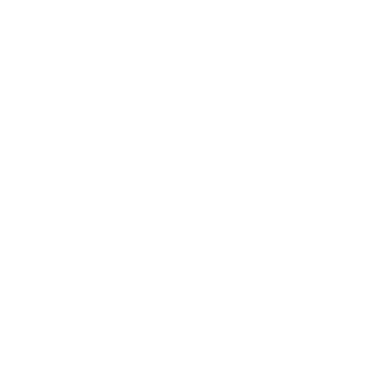 ExitLag